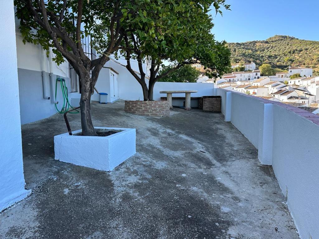 Apartamento Antonia Zahara De La Sierra Zewnętrze zdjęcie